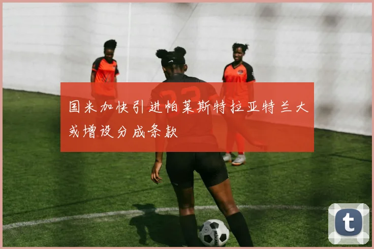 国米加快引进帕莱斯特拉亚特兰大或增设分成条款