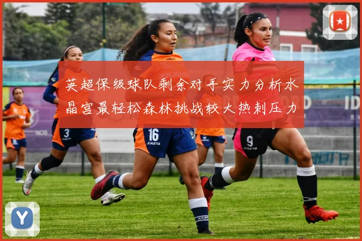 英超保级球队剩余对手实力分析水晶宫最轻松森林挑战较大热刺压力中等